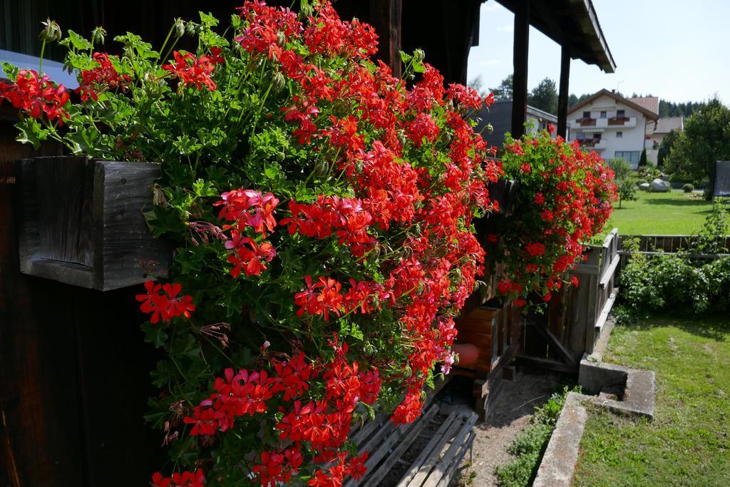 Ferienwohnungen Schnarf Olang Exterior foto